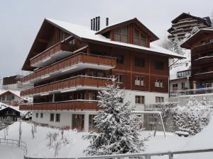 Chalet Bella Vista 3 v zimě