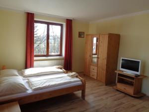 Ternitz的住宿－Apartments Himmelreich，一间卧室设有一张床、一台电视和一个窗口。