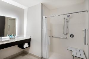 a bathroom with a shower and a sink at Holiday Inn Express & Suites Lakeland South, an IHG Hotel in Lakeland