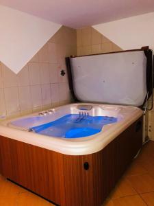 uma banheira com um lavatório azul num quarto em Apartmaji Zlata Lisička em Cerkno