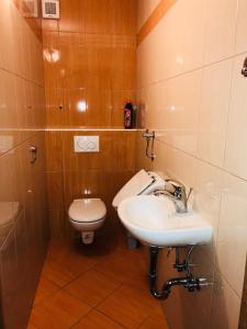 uma casa de banho com um lavatório e um WC em Apartmaji Zlata Lisička em Cerkno