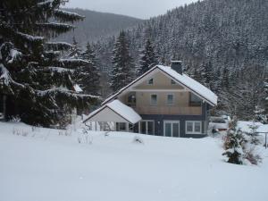 ein schneebedecktes Haus vor einem Wald in der Unterkunft Ferienwohnung Hermannstein in Ilmenau
