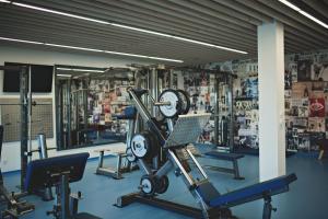 Fitness centrum a/nebo fitness zařízení v ubytování Statek česká lípa Myslovice