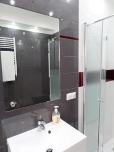 a bathroom with a sink and a shower and a mirror at Apartment Panorama in Międzywodzie