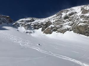レ・デュー・アルプにあるAlpine Hideoutの雪山をスキーで下りている人