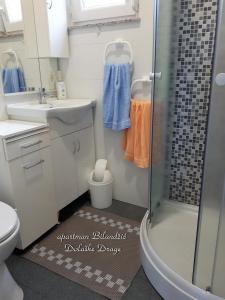 a bathroom with a shower and a sink and a toilet at Apartman Bilandžić Drage in Drage +41 photos
