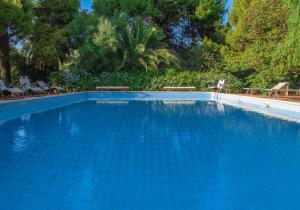 una grande piscina blu con sedie e alberi di Ville Mirto a Santa Flavia