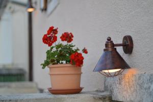 Fotografie z fotogalerie ubytování House nona Roza v destinaci Barban