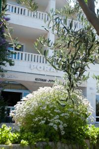 Zahrada ubytování Hotel Porat
