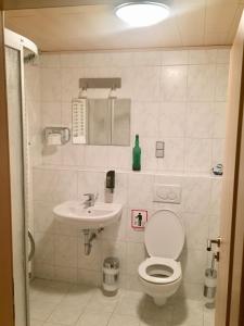 La salle de bains est pourvue de toilettes et d'un lavabo. dans l'établissement Hotel Restaurant Parthenon, à Otterbach