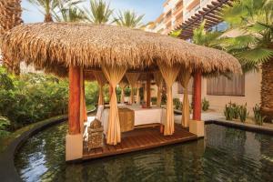 Zahrada ubytování Hyatt Ziva Los Cabos - All Inclusive