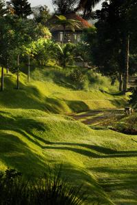 a green hill with a house on top of it at Bagus Jati Health & Wellbeing Retreat in Tegalalang