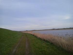 een onverharde weg naast een waterlichaam bij Corona Laboris in Colijnsplaat