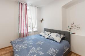 ドゥシュニキ・ズドルイにあるApartamenty W Starym Ogrodzieのベッドルーム1室(青い毛布、窓付)