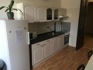 Kuchyň nebo kuchyňský kout v ubytování Hostel EMMA
