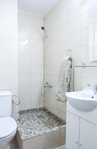 a bathroom with a shower and a sink and a toilet at Color Apartments Eugen Carada St in Bucharest