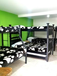 Voodi või voodid majutusasutuse Hostal y Camping Los Girasoles toas