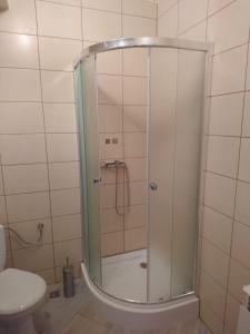 una ducha con puerta de cristal en un baño en U Kasprów, en Zakopane