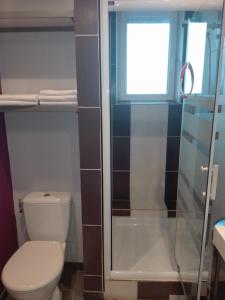 a bathroom with a toilet and a shower at Gite La Ferme du Grand Air in Fiennes