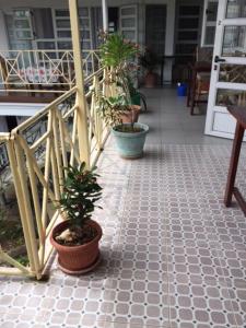 une terrasse couverte avec des plantes en pot au sol d'une maison dans l'établissement Auberge Le Saladier, à Mahébourg