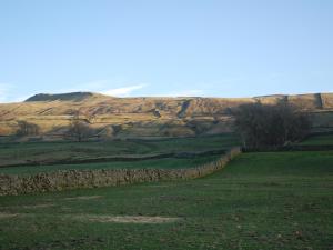 a stone wall in a field with a mountain in the background at Cartmel Cottage in Leyburn +4 photos