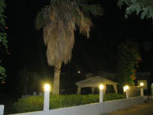A garden outside Seaside Studios Kirania