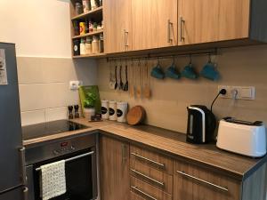 A cozinha ou cozinha compacta de Horizon Apartman