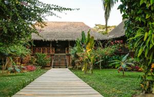 um caminho que leva a uma casa com telhado de palha em Corto Maltes Amazonia Lodge em Puerto Maldonado