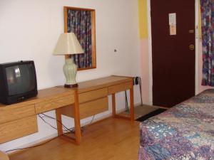 TV a/nebo společenská místnost v ubytování Lion Motel