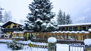 a snow covered pine tree in front of a house at Alpen-Appartementhof in Bad Hofgastein