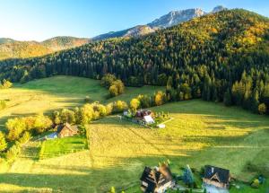 an aerial view of a house in a field in the mountains at Domek Otulina in Zakopane