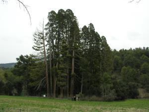 Paisaje cerca of this country house