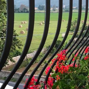 PugnanoRelais Villa Poschi的相册照片 更多94张照片