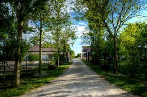 Φωτογραφία από το άλμπουμ του Agriturismo la Strozza σε Francolino +14 φωτογραφίες