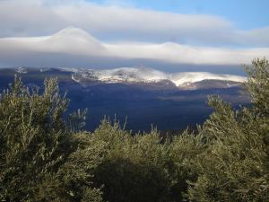 vista sulle montagne innevate in lontananza di La roulotte Chic et Boheme a Mazan Altre 13 foto