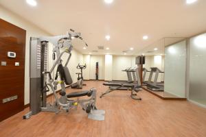 Gimnasio o instalaciones de fitness de Ramada Plaza Altin Kayisi Hotel