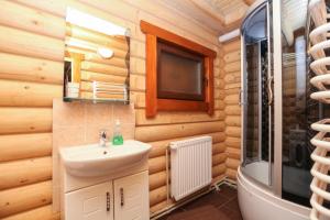 un bagno con lavandino e doccia in una baita di tronchi di Cottage Goyra a Jaremče