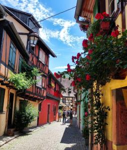 uma rua com flores no lado dos edifícios em KAYSERSBERG city center - House "AUX 7 FORGERONS" - em Kaysersberg