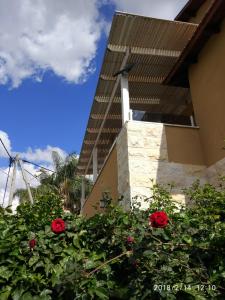 a group of roses in front of a building at צימר ברחובות - Israeli Home in Rechovot
