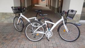 Jazda na bicykli v okolí ubytovania La trifula bianca apts.
