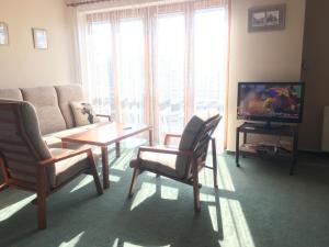 TV a/nebo společenská místnost v ubytování Pension Apartment Granit