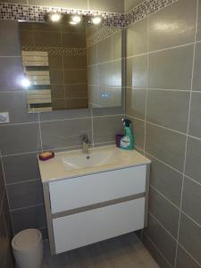 un baño con lavabo y espejo en Gites La Baie des Remparts Meublé Les Aigrettes, en Saint-Valery-sur-Somme 29 fotos más