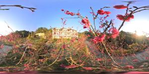 A garden outside Hoka in Sanyi