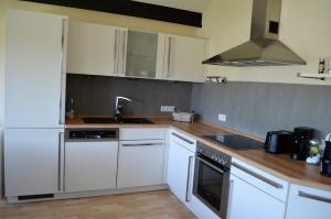 a kitchen with white cabinets and a sink at Beim Hooch "Schindelloft" in Brücktal