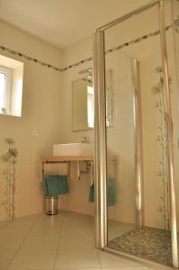ein Bad mit einer Dusche und einem Waschbecken in der Unterkunft la grange aux hirondelles in Athienville
