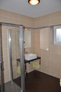 a bathroom with a sink and a shower at la grange aux hirondelles in Athienville