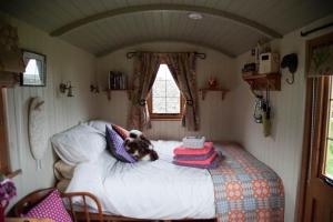 Gallery image of Storws Y Gorlan Shepherd's Hut in Valley