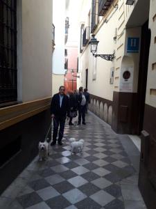 Hostia v ubytovaní NOOL Sevilla