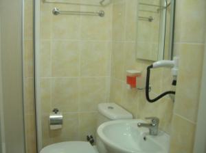 La salle de bains est pourvue de toilettes, d'un lavabo et d'une douche. dans l'établissement Turko Apartments, à Istanbul
