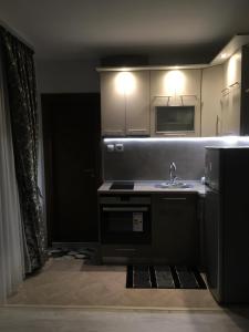 a kitchen with a sink and a microwave at Apartment Park Sveti Vrach in Sandanski